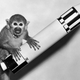 Illustration for article titled The First Animals In Space